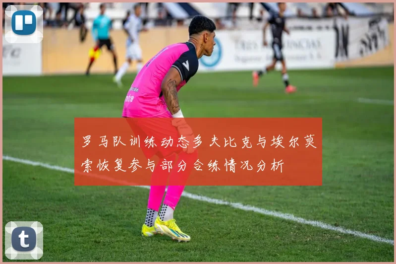 罗马队训练动态多夫比克与埃尔莫索恢复参与部分合练情况分析