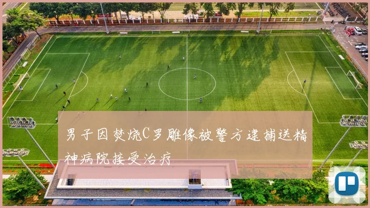男子因焚烧C罗雕像被警方逮捕送精神病院接受治疗