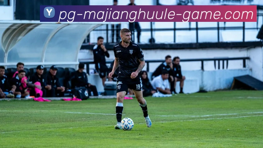 麻将胡了平台生态图